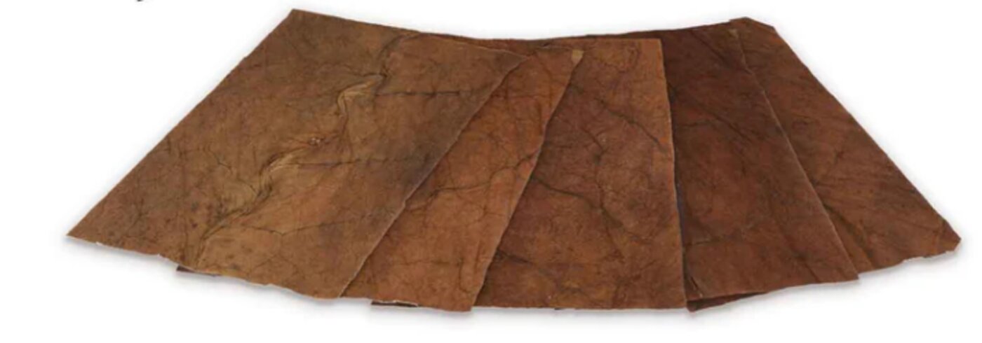 Cigar wraps fanned out, ready to roll